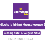 Hollywoodbets is hiring Housekeeper (x1 Post)