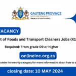 Department of Roads and Transport Cleaners Jobs (X12 Posts) 2024